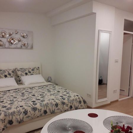 Apartman Mmvg Studio Zagreb Airport 大戈里察 外观 照片