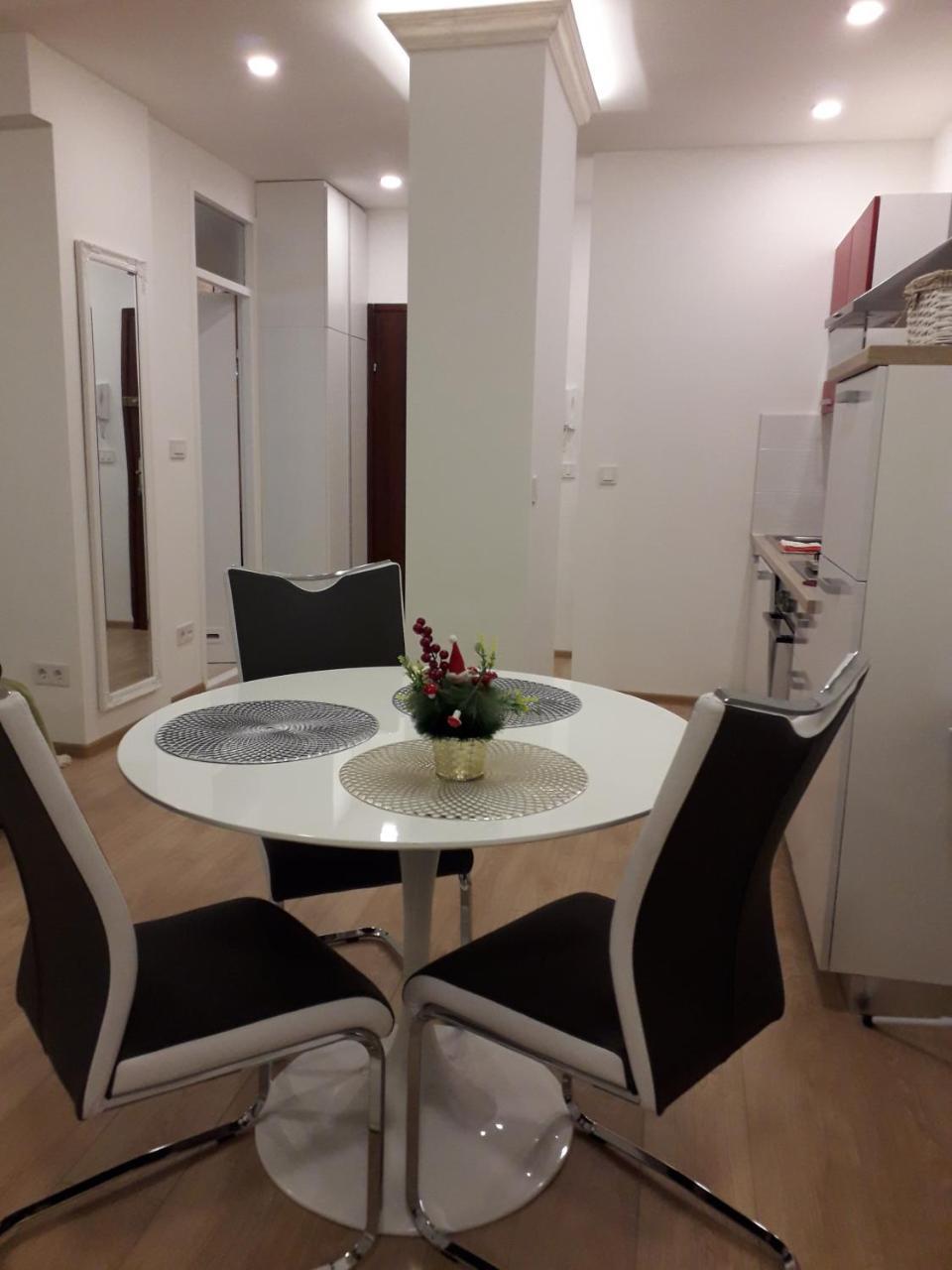 Apartman Mmvg Studio Zagreb Airport 大戈里察 外观 照片